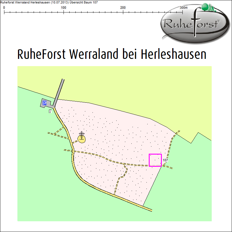 &Uuml;bersichtskarte zu Baum 107