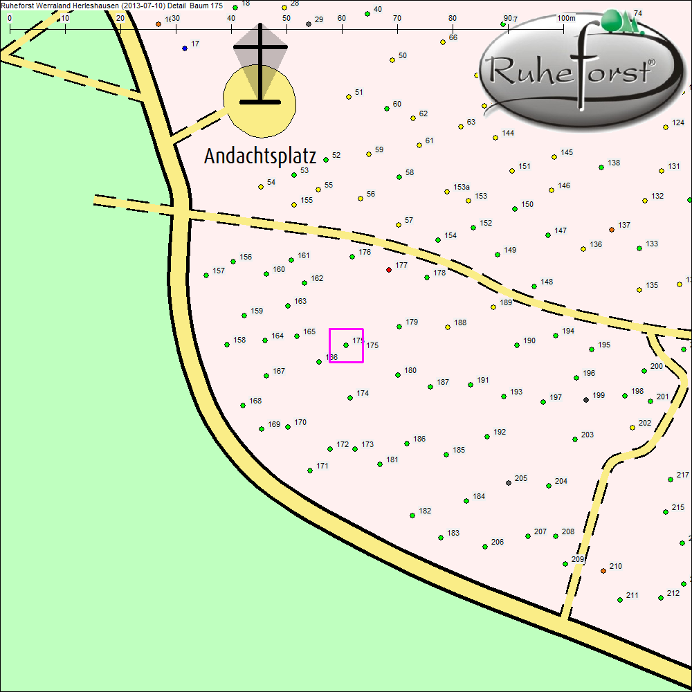 Detailkarte zu Baum 175