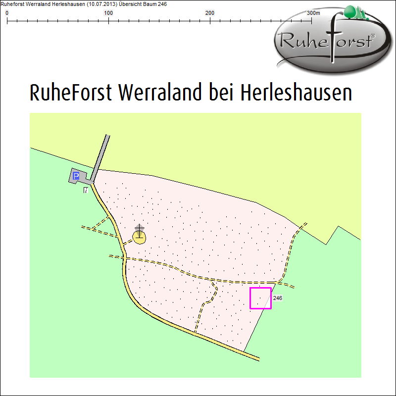 &Uuml;bersichtskarte zu Baum 246