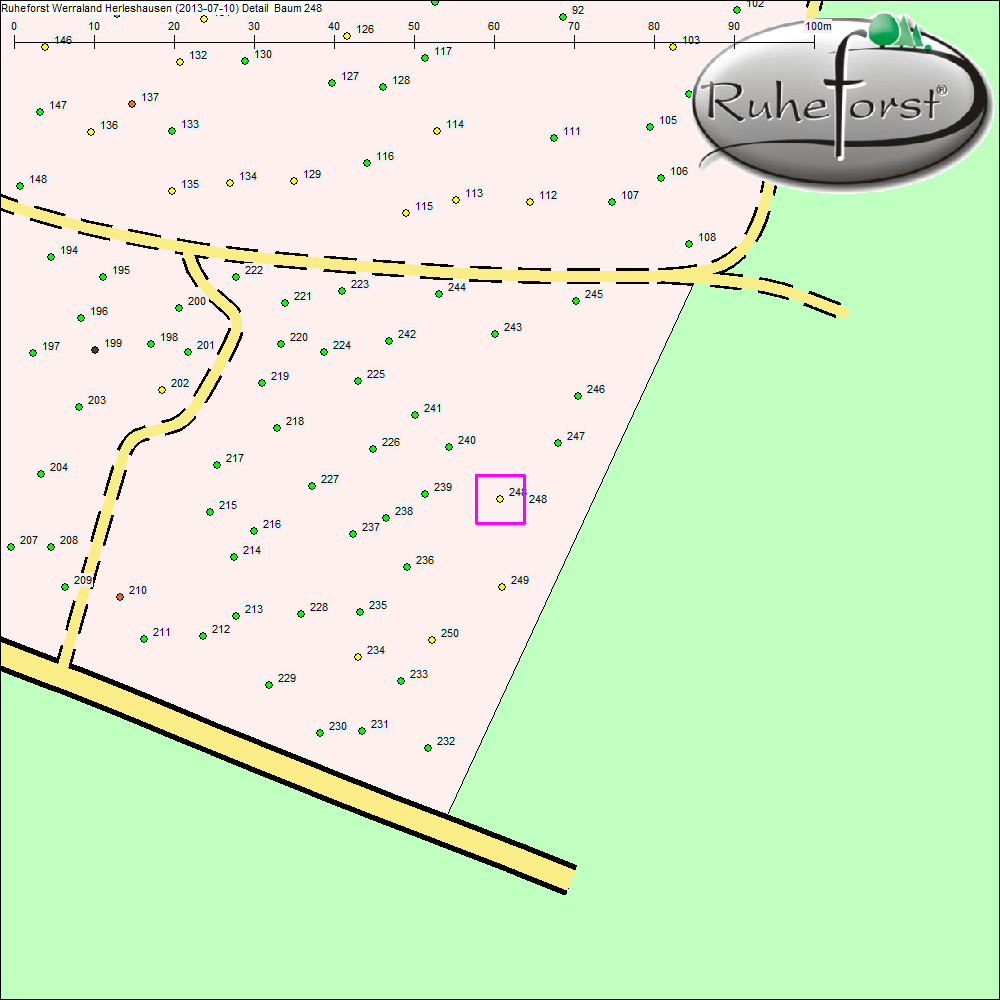 Detailkarte zu Baum 248