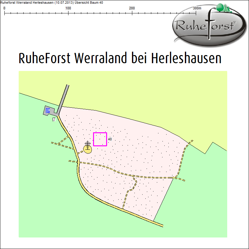 &Uuml;bersichtskarte zu Baum 40